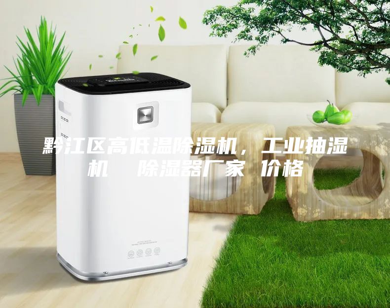 黔江區(qū)高低溫除濕機，工業(yè)抽濕機  除濕器廠家 價格