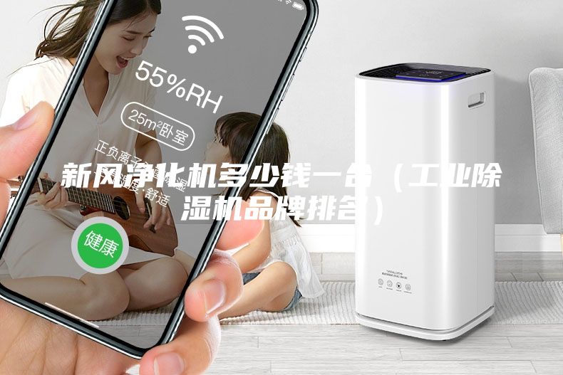 新風(fēng)凈化機多少錢一臺（工業(yè)除濕機品牌排名）