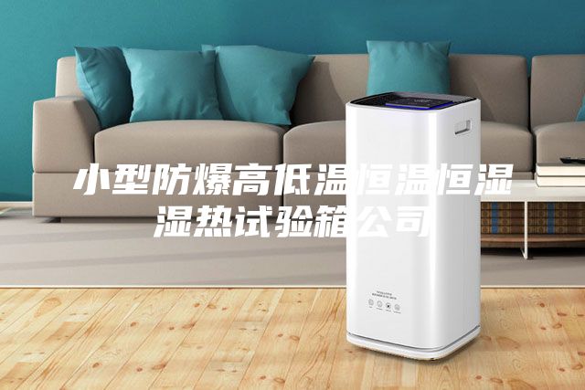 小型防爆高低溫恒溫恒濕濕熱試驗(yàn)箱公司