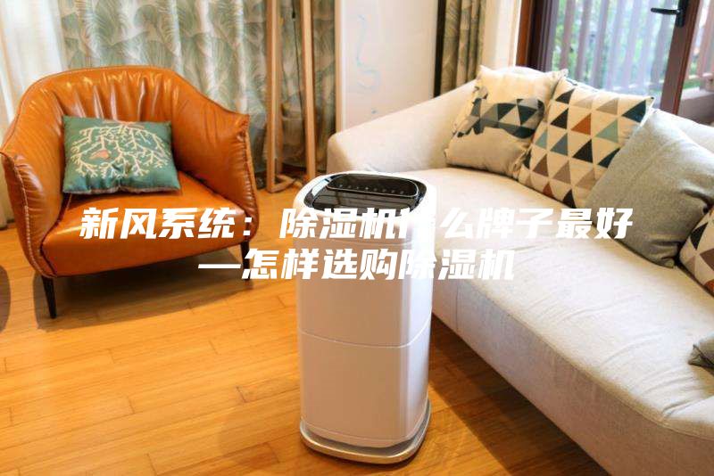 新風系統(tǒng)：除濕機什么牌子最好—怎樣選購除濕機