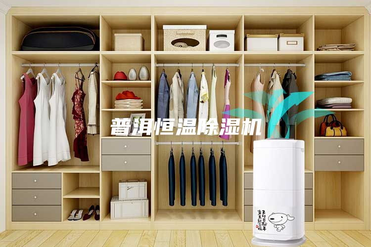 普洱恒溫除濕機(jī)