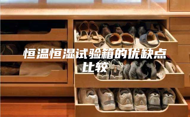 恒溫恒濕試驗箱的優(yōu)缺點比較