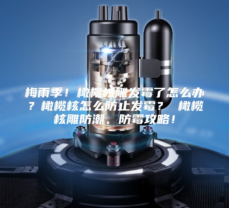 梅雨季！橄欖核雕發(fā)霉了怎么辦？橄欖核怎么防止發(fā)霉？ 橄欖核雕防潮、防霉攻略！