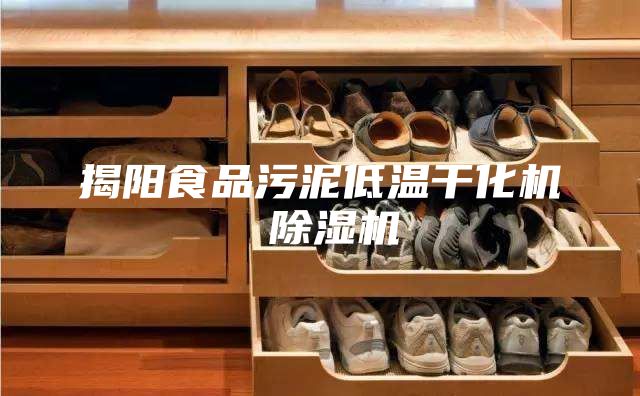 揭陽食品污泥低溫干化機 除濕機