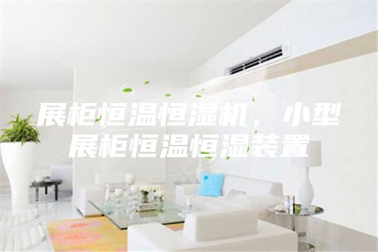 展柜恒溫恒濕機(jī)，小型展柜恒溫恒濕裝置