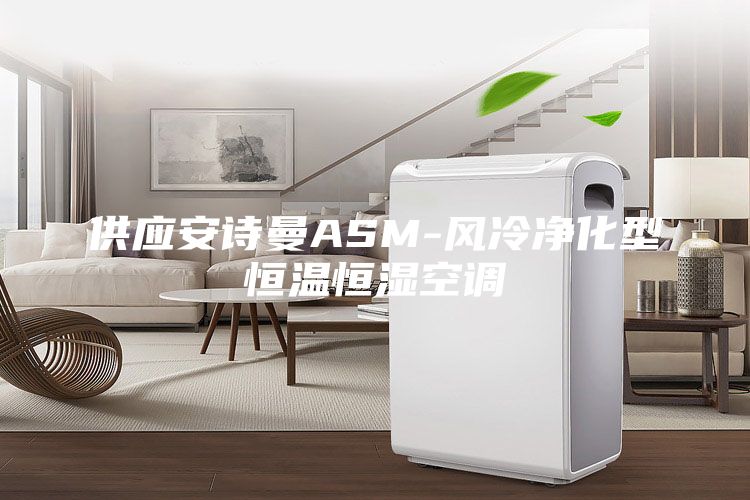 供應(yīng)安詩(shī)曼ASM-風(fēng)冷凈化型恒溫恒濕空調(diào)