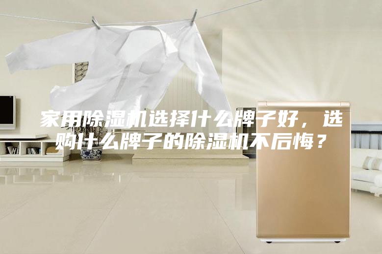 家用除濕機(jī)選擇什么牌子好，選購什么牌子的除濕機(jī)不后悔？