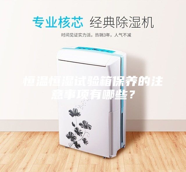 恒溫恒濕試驗(yàn)箱保養(yǎng)的注意事項(xiàng)有哪些？