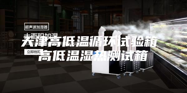 天津高低溫循環(huán)試驗(yàn)箱 高低溫濕熱測(cè)試箱
