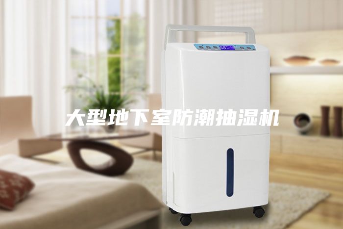 大型地下室防潮抽濕機(jī)