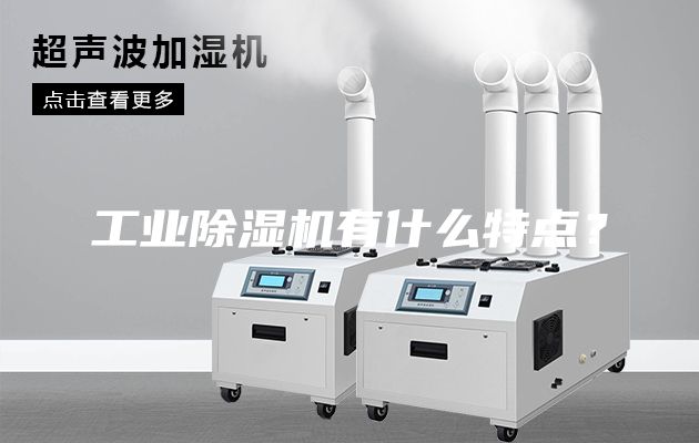 工業(yè)除濕機(jī)有什么特點(diǎn)？