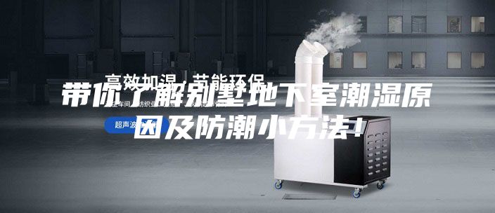帶你了解別墅地下室潮濕原因及防潮小方法！