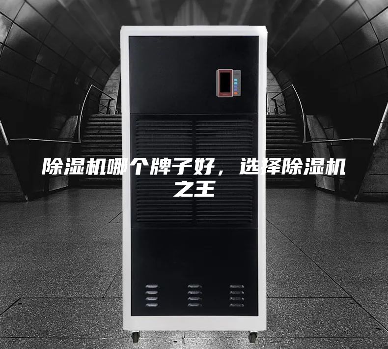 除濕機哪個牌子好，選擇除濕機之王