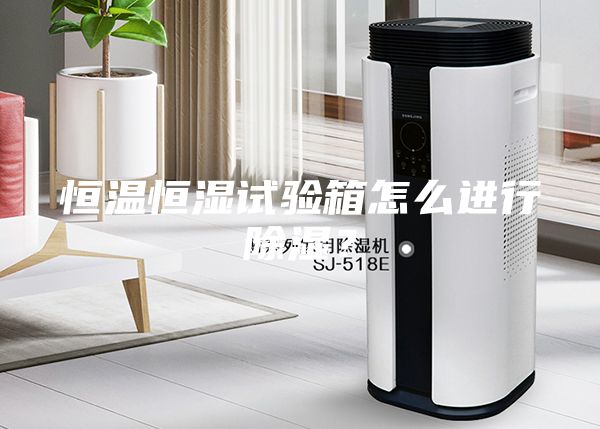 恒溫恒濕試驗(yàn)箱怎么進(jìn)行除濕？