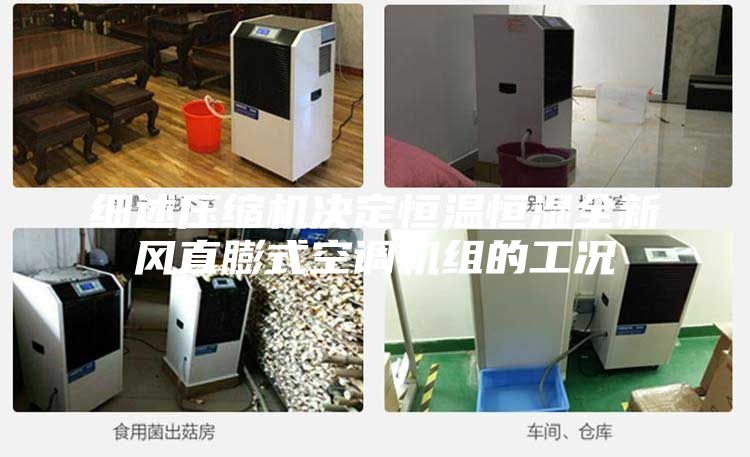 細(xì)述壓縮機(jī)決定恒溫恒濕全新風(fēng)直膨式空調(diào)機(jī)組的工況