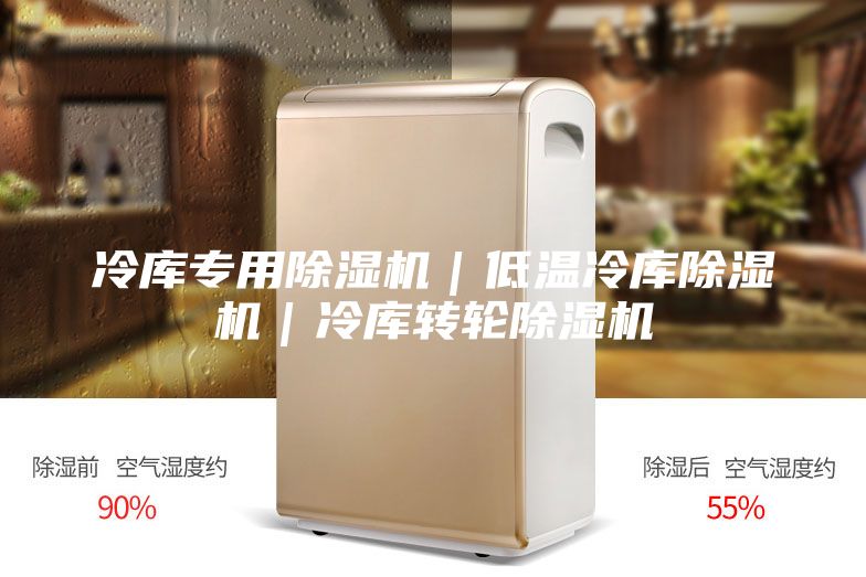 冷庫(kù)專(zhuān)用除濕機(jī)｜低溫冷庫(kù)除濕機(jī)｜冷庫(kù)轉(zhuǎn)輪除濕機(jī)