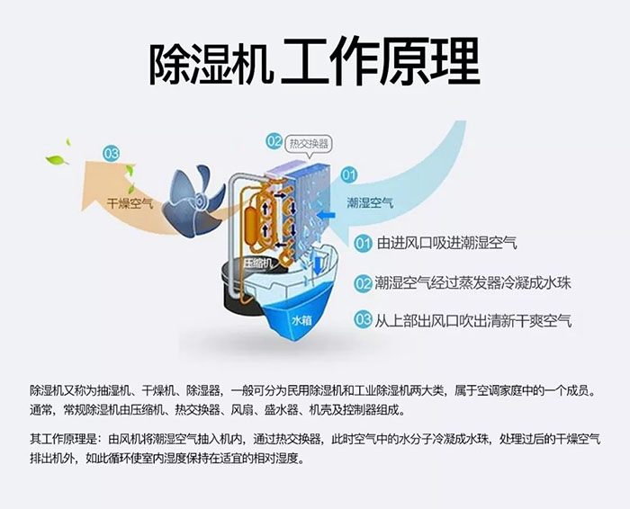 蜈蚣出沒(méi)潮濕區(qū)，安詩(shī)曼除濕機(jī)消除蜈蚣隱患