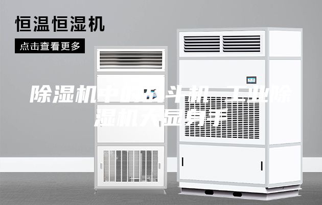 除濕機中的戰(zhàn)斗機 工業(yè)除濕機大顯身手