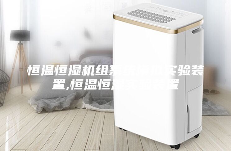 恒溫恒濕機(jī)組系統(tǒng)模擬實(shí)驗(yàn)裝置,恒溫恒濕實(shí)驗(yàn)裝置