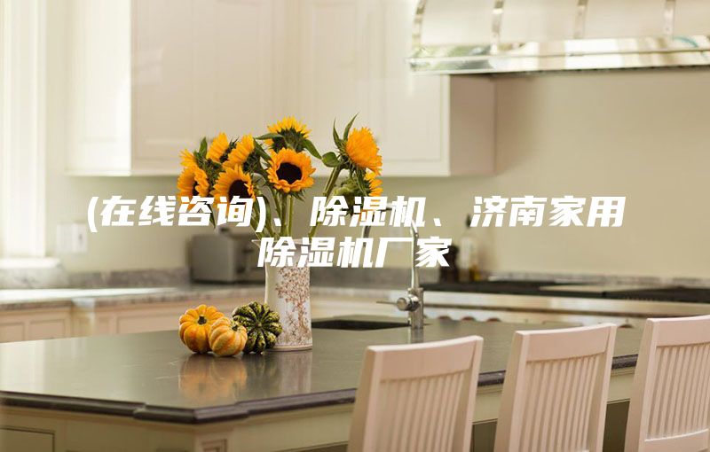 (在線咨詢)、除濕機(jī)、濟(jì)南家用除濕機(jī)廠家