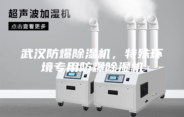 武漢防爆除濕機(jī)，特殊環(huán)境專用防爆除濕機(jī)