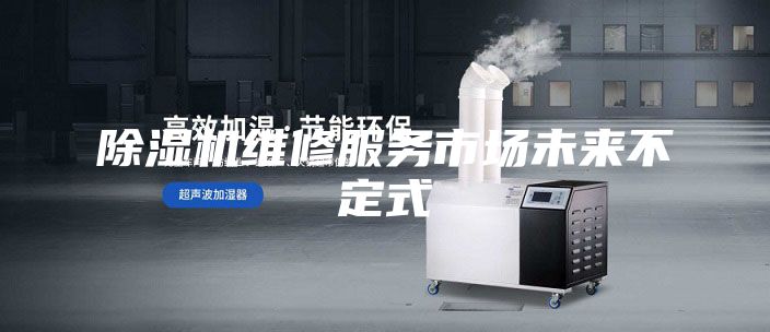 除濕機(jī)維修服務(wù)市場(chǎng)未來不定式