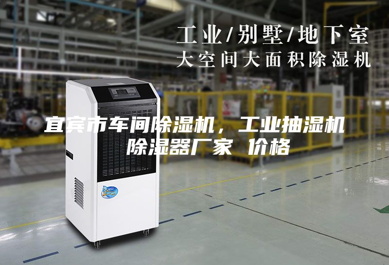 宜賓市車間除濕機，工業(yè)抽濕機  除濕器廠家 價格