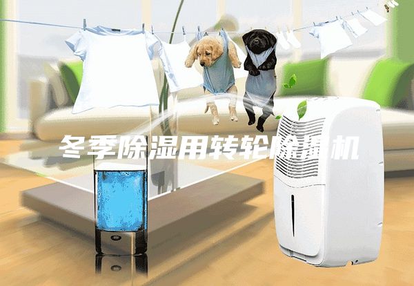 冬季除濕用轉輪除濕機