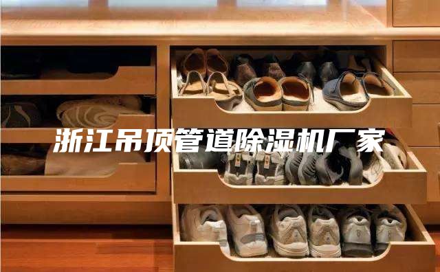 浙江吊頂管道除濕機(jī)廠(chǎng)家