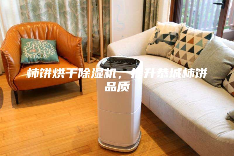 柿餅烘干除濕機，提升恭城柿餅品質(zhì)