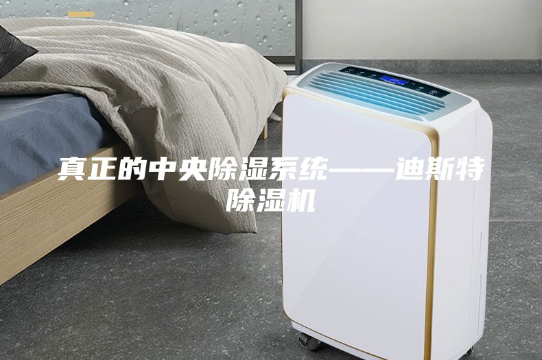 真正的中央除濕系統(tǒng)——迪斯特除濕機