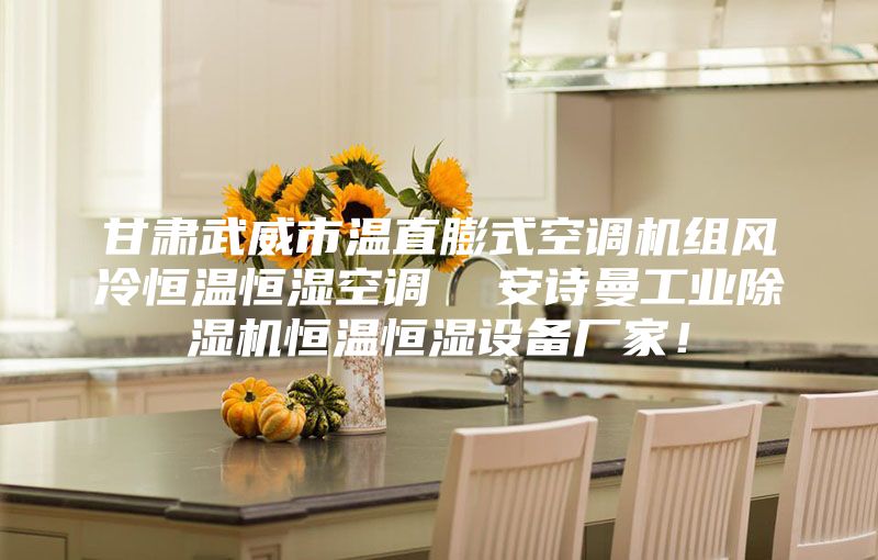 甘肅武威市溫直膨式空調(diào)機(jī)組風(fēng)冷恒溫恒濕空調(diào)  安詩曼工業(yè)除濕機(jī)恒溫恒濕設(shè)備廠家！