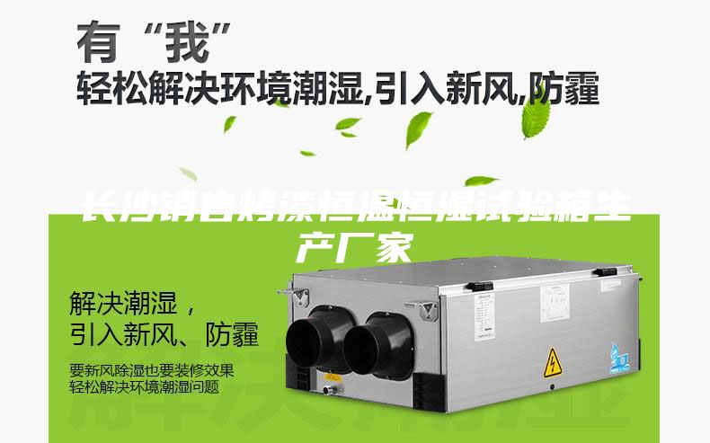 長沙銷售烤漆恒溫恒濕試驗箱生產(chǎn)廠家