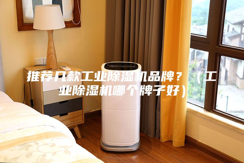 推薦幾款工業(yè)除濕機(jī)品牌？（工業(yè)除濕機(jī)哪個(gè)牌子好）
