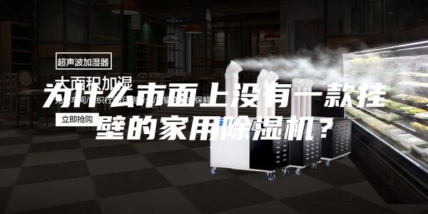 為什么市面上沒有一款掛壁的家用除濕機(jī)？