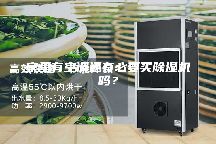 家里有空調還有必要買除濕機嗎？