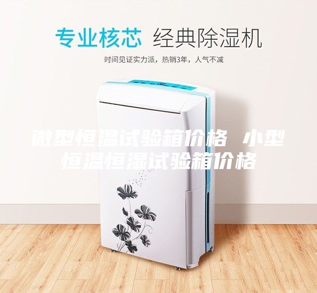 微型恒溫試驗(yàn)箱價(jià)格 小型恒溫恒濕試驗(yàn)箱價(jià)格