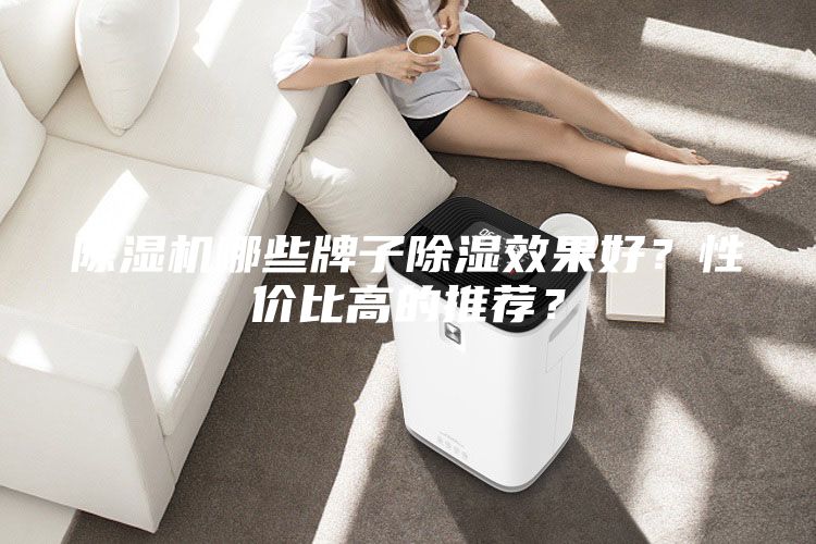 除濕機哪些牌子除濕效果好？性價比高的推薦？