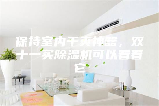 保持室內(nèi)干爽神器，雙十一買除濕機(jī)可以看看它