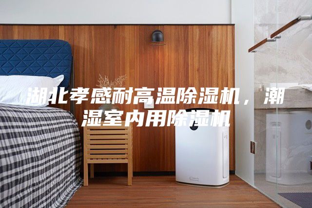 湖北孝感耐高溫除濕機(jī)，潮濕室內(nèi)用除濕機(jī)