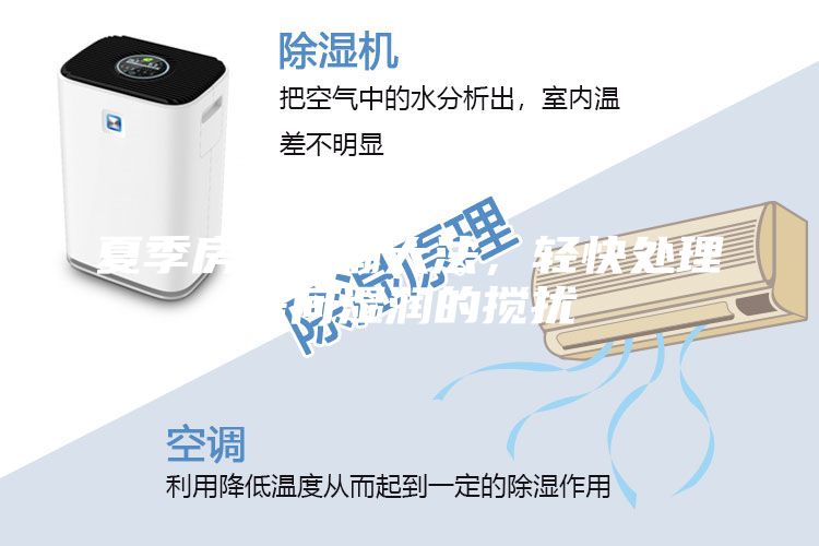 夏季房屋防潮大法，輕快處理房間濕潤的攪擾
