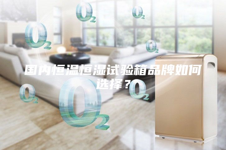 國(guó)內(nèi)恒溫恒濕試驗(yàn)箱品牌如何選擇？