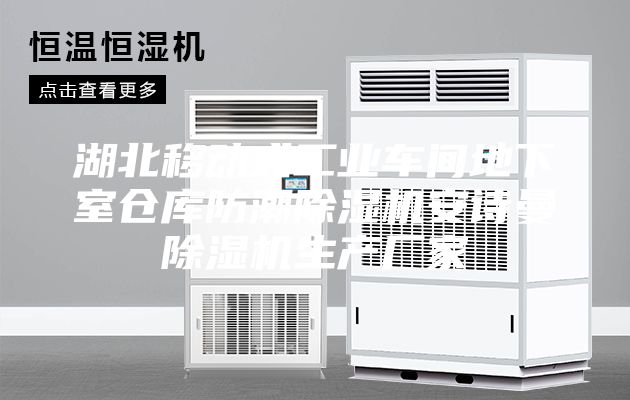 湖北移動式工業(yè)車間地下室倉庫防潮除濕機安詩曼除濕機生產廠家