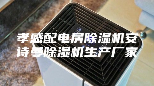 孝感配電房除濕機(jī)安詩(shī)曼除濕機(jī)生產(chǎn)廠家