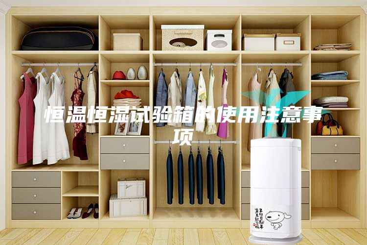 恒溫恒濕試驗(yàn)箱的使用注意事項(xiàng)