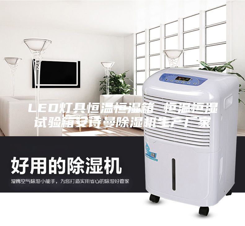 LED燈具恒溫恒濕箱 恒溫恒濕試驗(yàn)箱安詩(shī)曼除濕機(jī)生產(chǎn)廠家