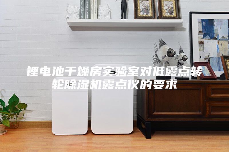 鋰電池干燥房實驗室對低露點轉(zhuǎn)輪除濕機(jī)露點儀的要求