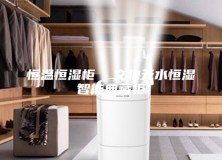 恒溫恒濕柜  文物無(wú)水恒濕智能典藏柜