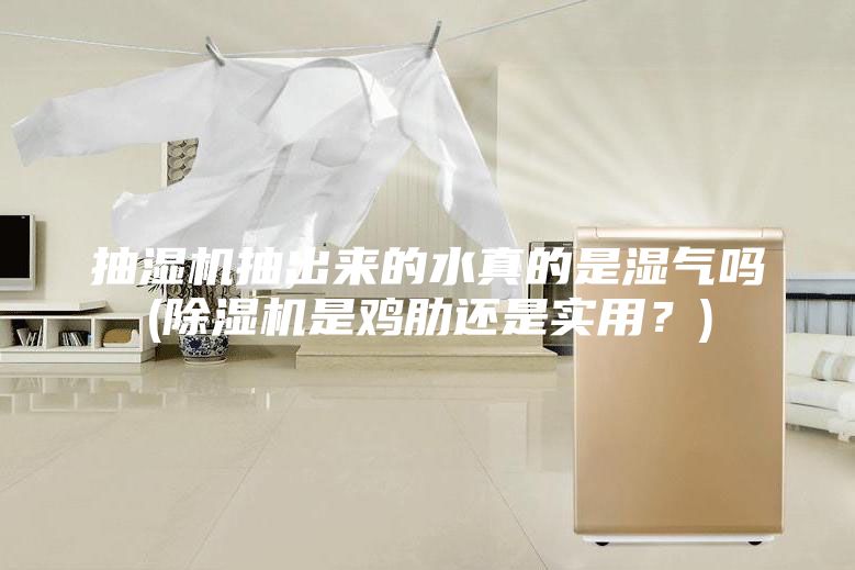 抽濕機(jī)抽出來(lái)的水真的是濕氣嗎(除濕機(jī)是雞肋還是實(shí)用？)