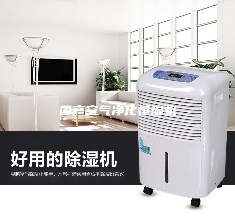 國(guó)產(chǎn)空氣凈化恒濕機(jī)